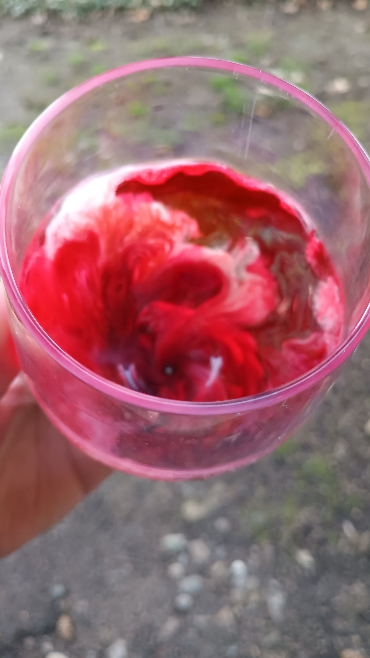 Wine Glasses