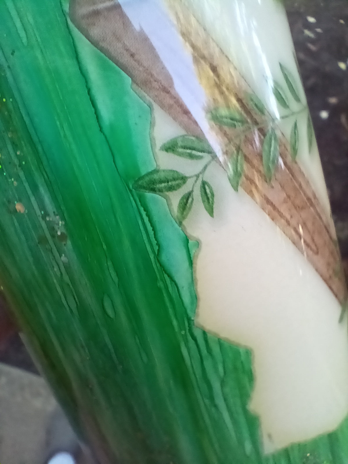 Plant Life