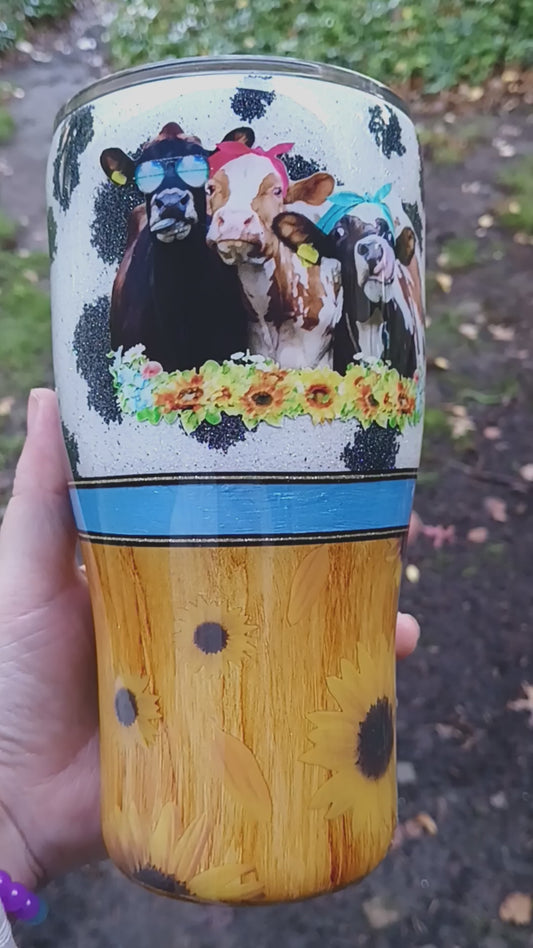 Cow'ing Around
