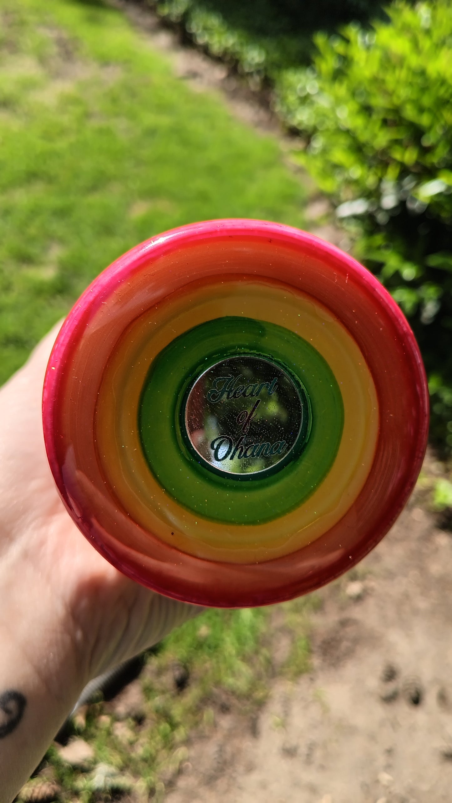 Hoo's Colorful